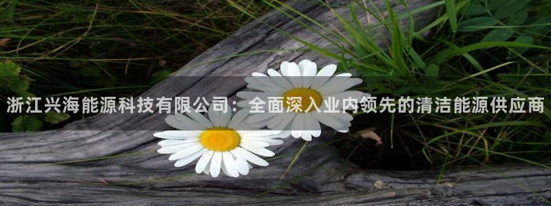 sunbet苹果官网下载