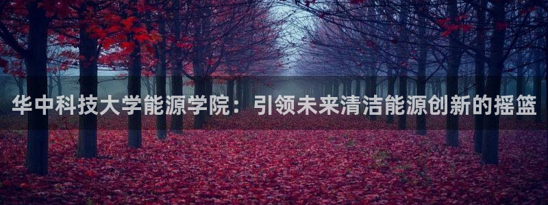 sunbet燃气灶