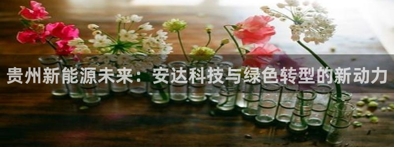 申博官网电脑版下载