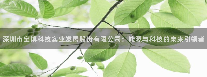 sunbet申搏官网