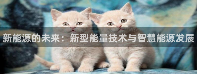 申慱sunbet网站