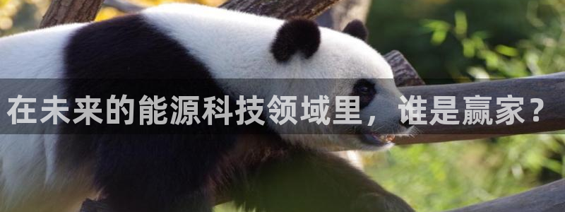 sunbet游戏地址