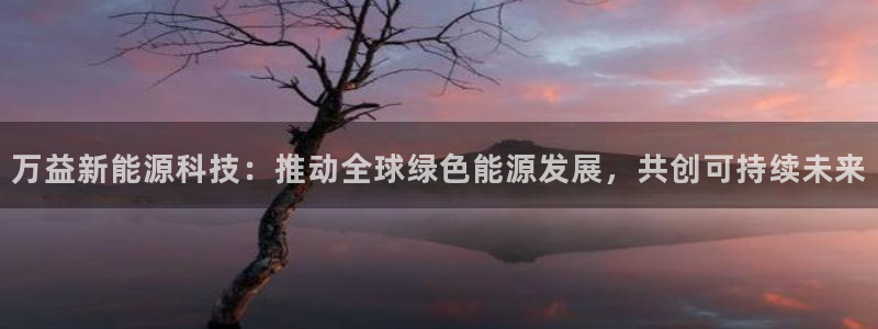sunbet程序