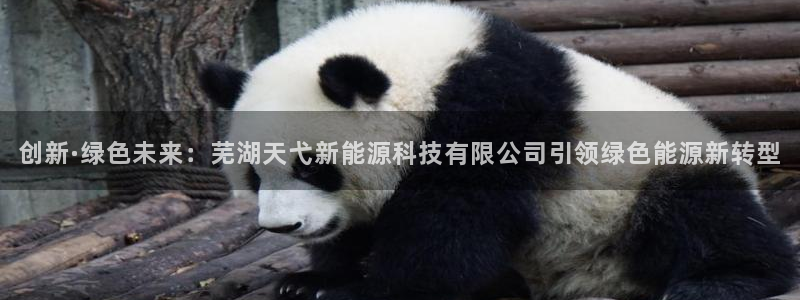申博手机版app下载