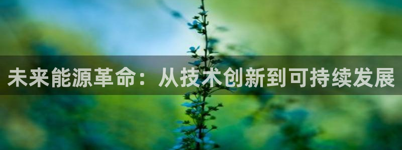 sunbet燃气灶