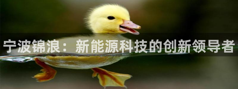 申博手机网站