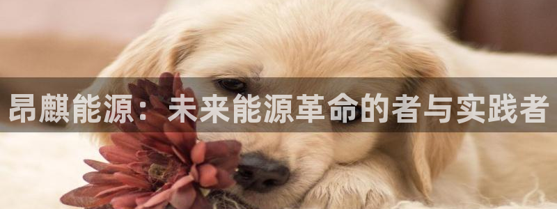 sunbet苹果官网下载