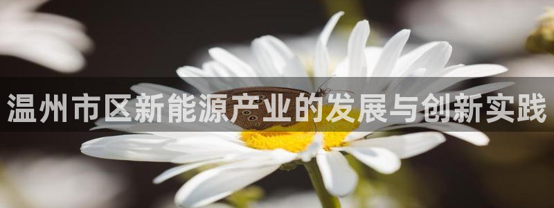sunbet最新消息