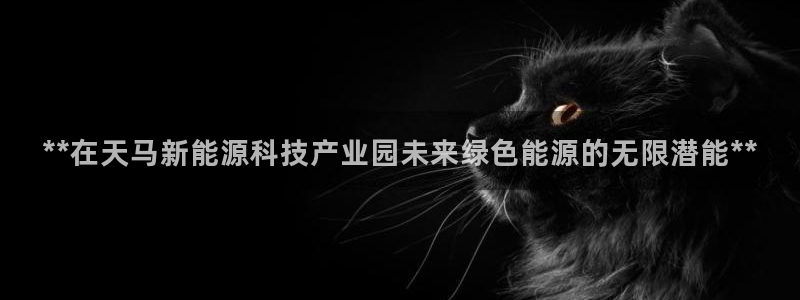 sunbet申搏app下载