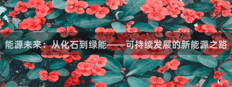 sunbet申搏官方网站