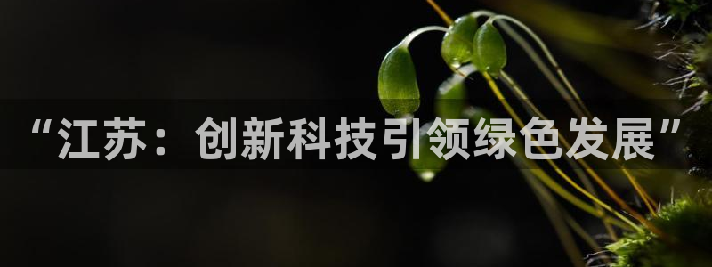 sunbet官网app首页