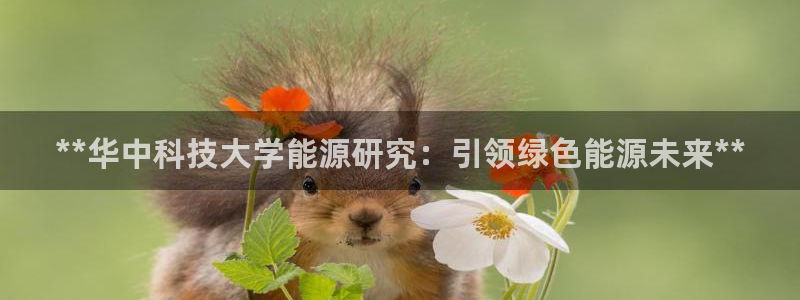 下载申搏sunbet并安装app