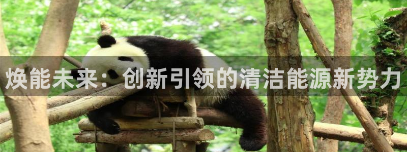 sunbet线上真人手机版