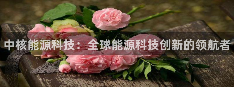 sunbet官网手机版登录