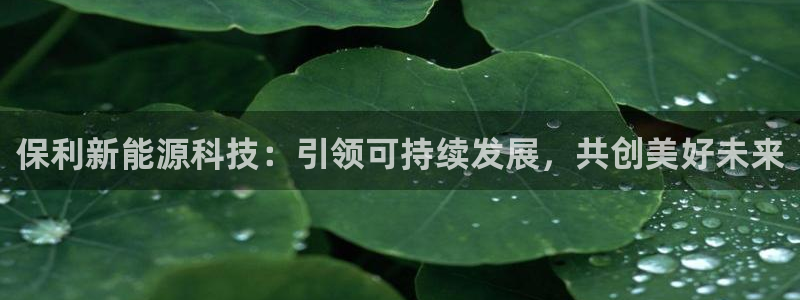 sunbet官网登录首页