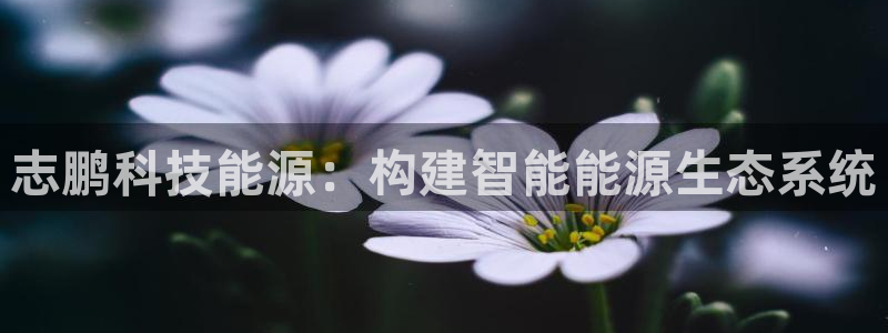 sunbet申搏app下载