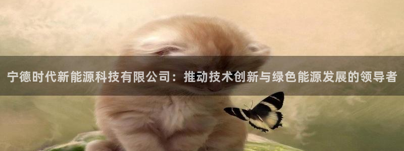 sunbet官网登录首页