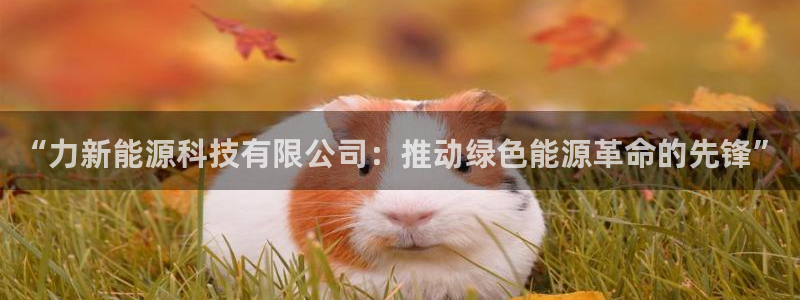 sunbet首页登录入口