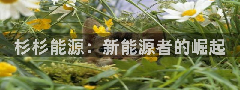 sunbet官网手机版登录