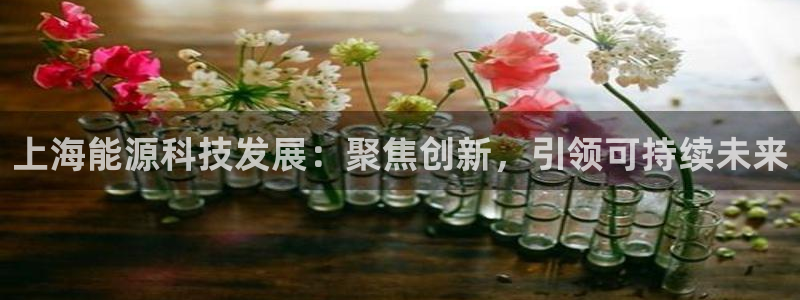 进入sunbet官网手机版登陆