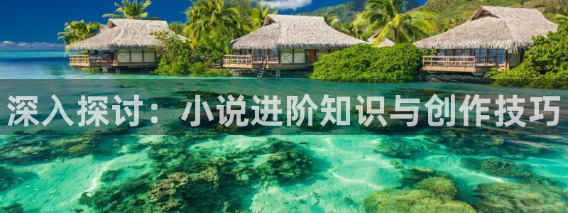 sf轻小说在哪里看免费